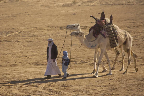 Doez Tunisia December 2018 Festival Van Sahara Douz Tunesië — Stockfoto