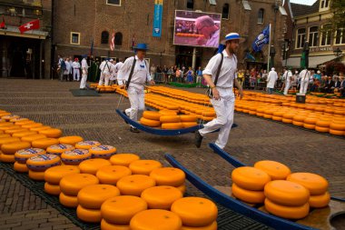 ALKMAAR, HOLLLAND, NETHERLANDS, 30 AĞUSTOS 2019. Hollanda, Alkmaar 'daki peynir pazarı.