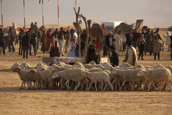 Doez Tunisia December 2018 Festival Van Sahara Douz Tunesië — Stockfoto