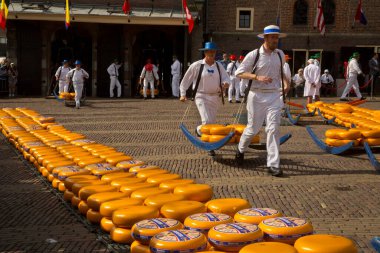 ALKMAAR, HOLLLAND, NETHERLANDS, 30 AĞUSTOS 2019. Hollanda, Alkmaar 'daki peynir pazarı.