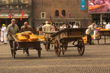 ALKMAAR, HOLLLAND, NETHERLANDS, 30 AĞUSTOS 2019. Hollanda, Alkmaar 'daki peynir pazarı.