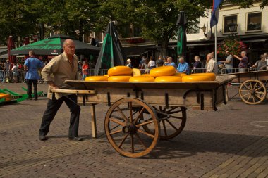 ALKMAAR, HOLLLAND, NETHERLANDS, 30 AĞUSTOS 2019. Hollanda, Alkmaar 'daki peynir pazarı.