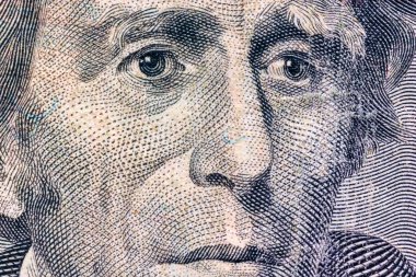 20 dolarlık banknotun bir parçası makroyu fotoğrafladı.