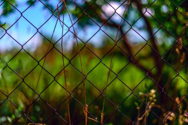 Çitlerdeki tel örgüler