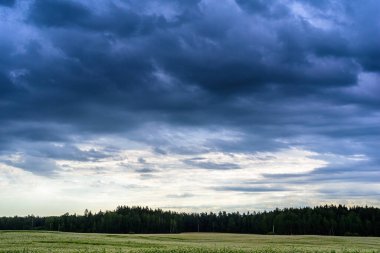 Yeşil alanda gök gürültülü bulutlar