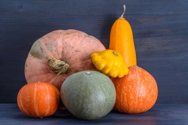 Kabak, kabak, arka planda veranda..