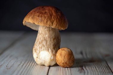 Ormanın yenilebilir mantarları stüdyoda yakın plan ahşap bir arka planda..