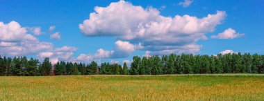 Manzara, bulutlar ve güzel tarlalar. 