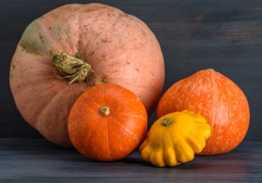 Kabak, kabak, arka planda veranda..