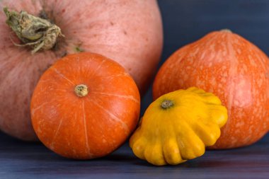 Kabak, kabak, arka planda veranda..