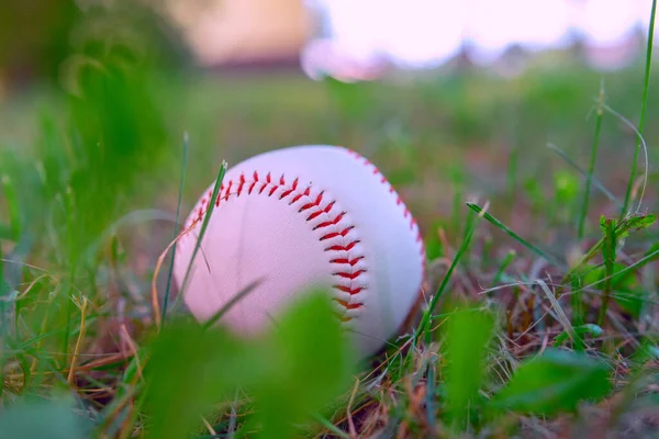 Baseboll Grönt Gräs Närbild Fotograferad — Stockfoto