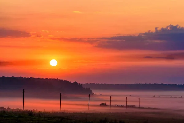 Sunrise Foggy Field — Stock Photo, Image