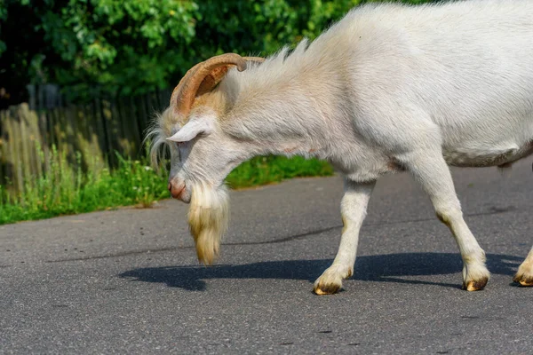 Geten Väg — Stockfoto