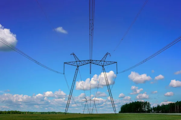 Power line over wheat field