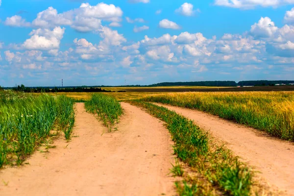 Bulutların Arkaplanına Karşı Tarlada Yol — Stok fotoğraf