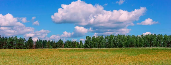 Paesaggio Vista Sulle Nuvole Bellissimo Campo — Foto Stock