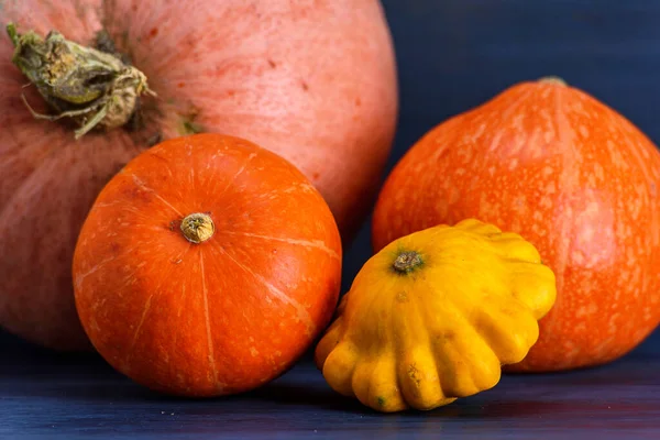 Calabaza Calabacín Patisson Sobre Fondo Oscuro — Foto de Stock