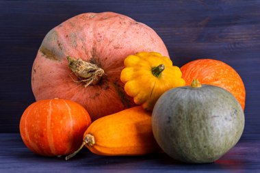 Kabak, kabak, arka planda veranda..