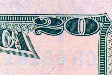 20 dolarlık banknotun bir parçası makroyu fotoğrafladı.