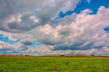 Atlar için otlaktaki bir ahır manzarası