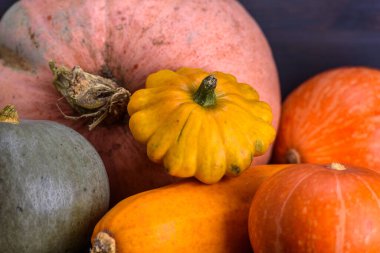 Kabak, kabak, arka planda veranda..