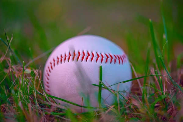 Pallone Baseball Sull Erba Verde Primo Piano Fotografato — Foto Stock