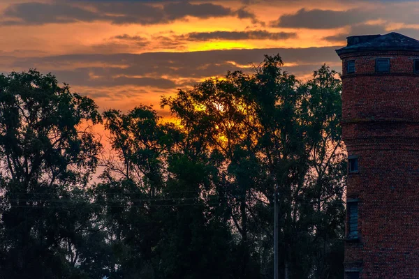 Hermoso Amanecer Detrás Los Árboles — Foto de Stock