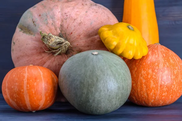 Kabak, kabak, arka planda veranda..