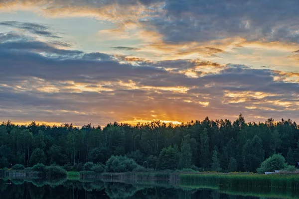 Forest Lake Summer Sunset — Stock Photo, Image