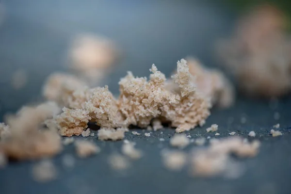 Bread Crumbs Bird Feeder Close Photographed Shallow Depth Field — Stock Photo, Image