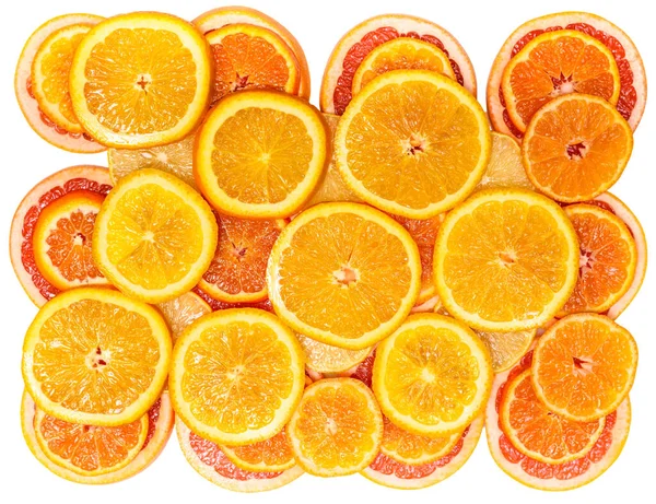 View Slices Fresh Citrus Fruits — Stock Photo, Image