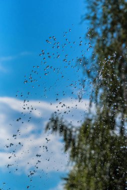 Bir pınar ki, gökyüzüne doğru akar.