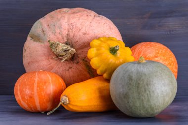 Kabak, kabak, arka planda veranda..