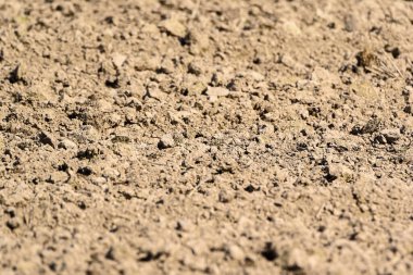 Kurumuş toprağın dokusu