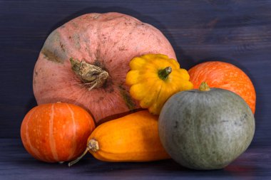 Kabak, kabak, arka planda veranda..