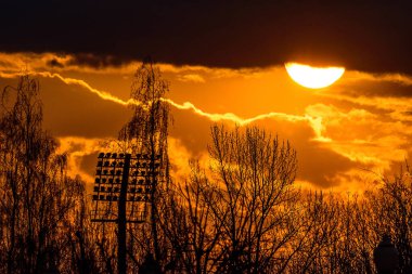 Ağaçların arkasında güzel bir gün batımı