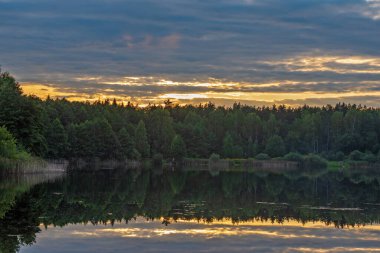 Yaz günbatımından önce göl kenarındaki orman..