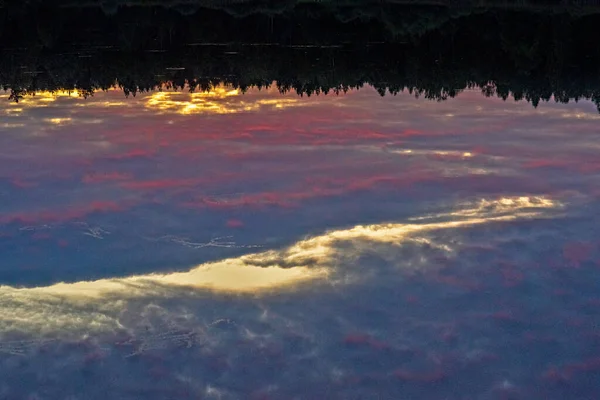 Floresta Junto Lago Antes Pôr Sol Verão — Fotografia de Stock