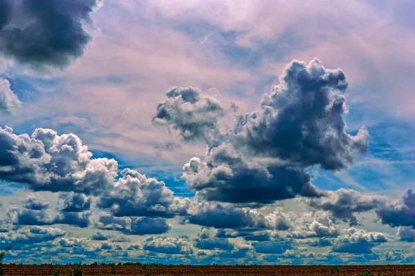 Přírodní Krajina Obloha Oblacích Pšeničné Pole — Stock fotografie