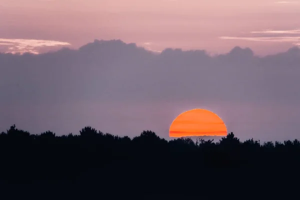 Sunset Dark Forest — Stock Photo, Image