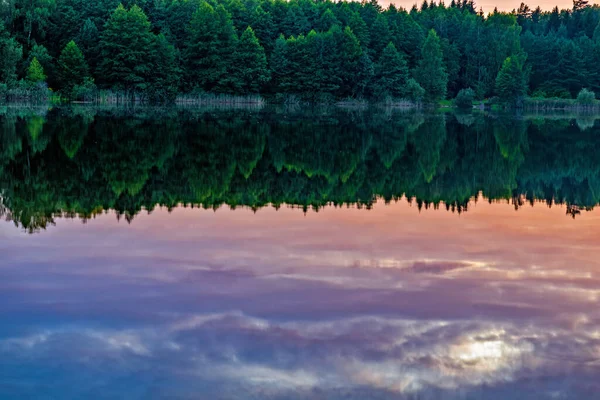 Δάσος Δίπλα Στη Λίμνη Πριν Ηλιοβασίλεμα Του Καλοκαιριού — Φωτογραφία Αρχείου