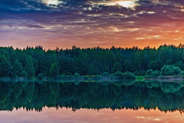 Yaz Günbatımından Önce Göl Kenarındaki Orman — Stok fotoğraf