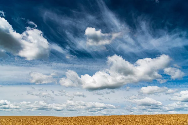 Mooie Wolken Een Veld Van Tarwe — Stockfoto