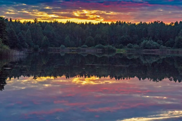 Forêt Bord Lac Avant Coucher Soleil Été — Photo