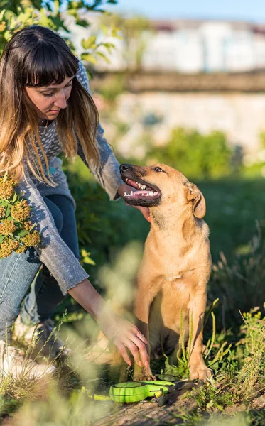 Mädchen Spielt Sommer Mit Ihrem Hund Freien — Stockfoto