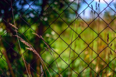 Çitlerdeki tel örgüler