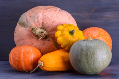 Kabak, kabak, arka planda veranda..