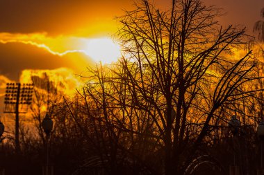 Ağaçların arkasında güzel bir gün batımı