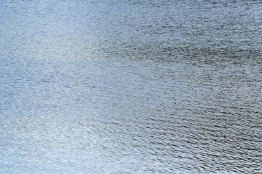 Suyun üzerinde parla