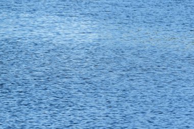 Suyun üzerinde parla